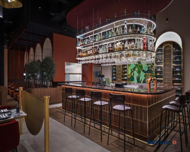 Embassy Suites By Hilton Dubai Business Bay 77