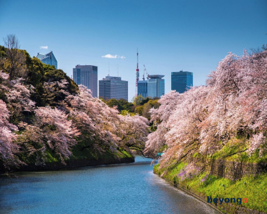 Four Seasons Hotel Tokyo at Marunouchi 1