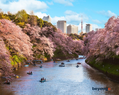 Four Seasons Hotel Tokyo at Marunouchi 23