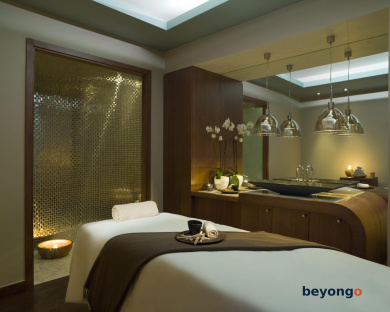 Grand Hyatt Istanbul 14