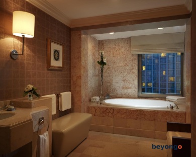 Grand Hyatt Istanbul 39