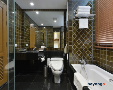 Grande Centre Point Ploenchit 37