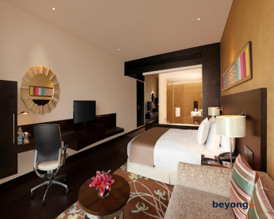Hilton Jaipur 15