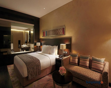 Hilton Jaipur 17