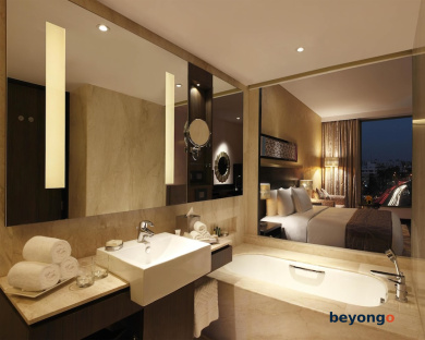 Hilton Jaipur 19