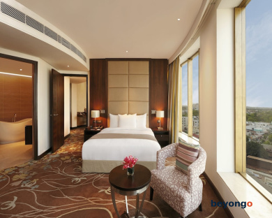 Hilton Jaipur 9