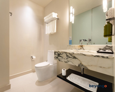 Holiday Inn Express Bangkok Siam by IHG 50