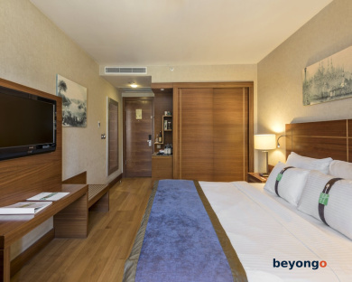 Holiday Inn Istanbul Sisli by IHG 30