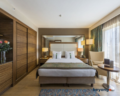 Holiday Inn Istanbul Sisli by IHG 37