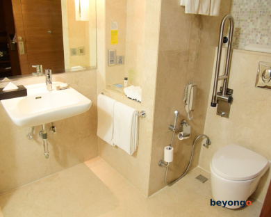 Holiday Inn Jaipur City Centre by IHG 52
