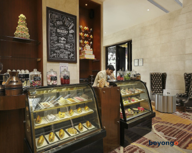 Holiday Inn Jaipur City Centre by IHG 95