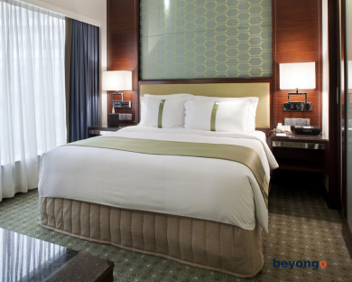 Holiday Inn Singapore Orchard City Centre by IHG 17