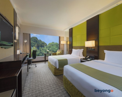 Holiday Inn Singapore Orchard City Centre by IHG 18