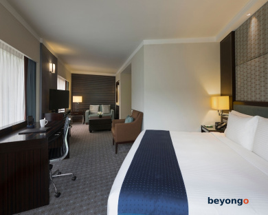 Holiday Inn Singapore Orchard City Centre by IHG 19
