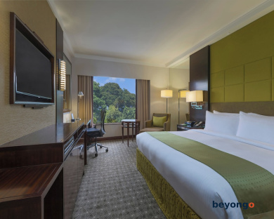 Holiday Inn Singapore Orchard City Centre by IHG 27