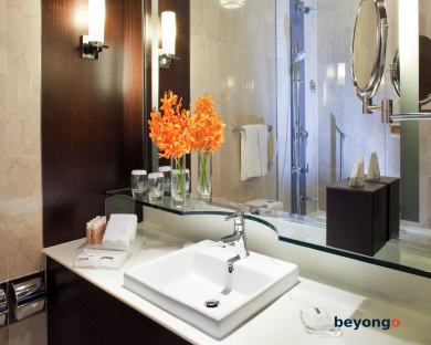 Holiday Inn Singapore Orchard City Centre by IHG 31