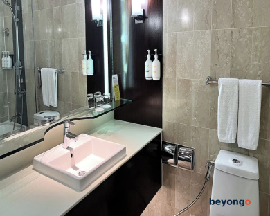 Holiday Inn Singapore Orchard City Centre by IHG 32