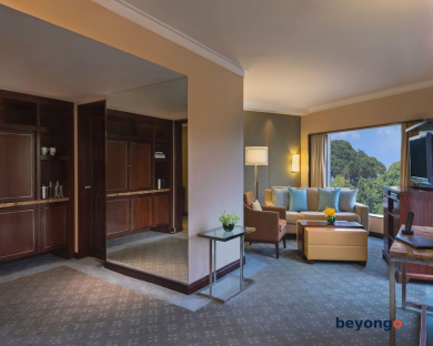 Holiday Inn Singapore Orchard City Centre by IHG 35
