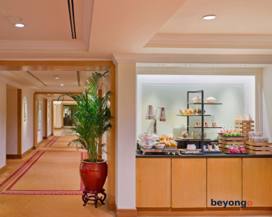 Holiday Inn Singapore Orchard City Centre by IHG 5