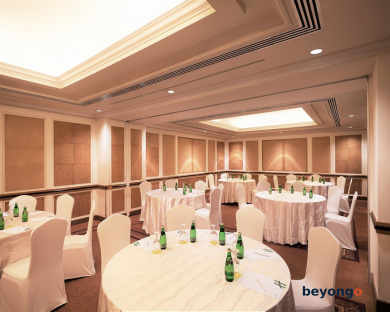 Holiday Inn Singapore Orchard City Centre by IHG 93