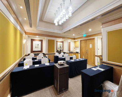 Holiday Inn Singapore Orchard City Centre by IHG 98
