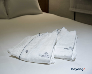 Hotel Grand Bach Tokyo Ginza 16