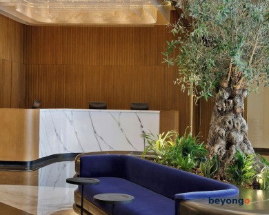 Hotel Local Dubai, Jumeirah Village Triangle, Autograph Collection 5