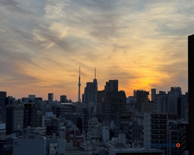 Hotel Metropolitan Edmont Tokyo 122