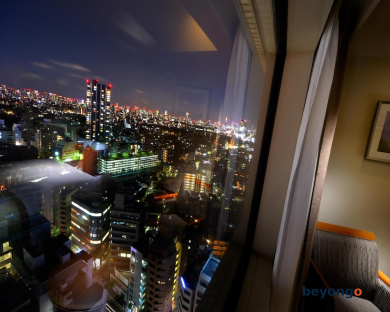 Hotel Metropolitan Tokyo Ikebukuro 91