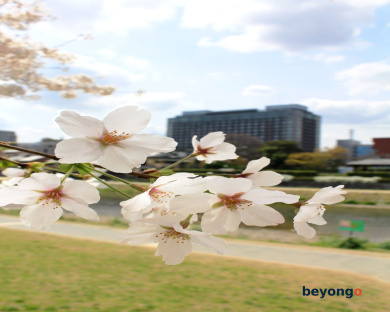 Hotel Okura Kyoto
