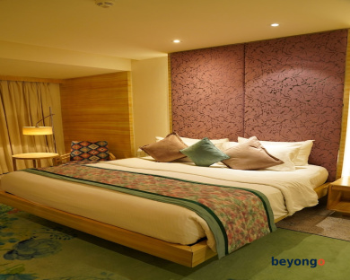 Hotel Royal Orchid, Jaipur 11