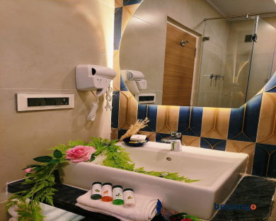Hotel Sarang Palace 224