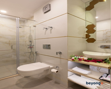 Hotel Sarang Palace 235