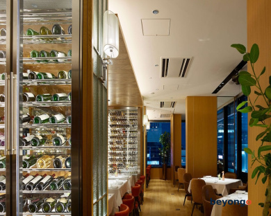 Hotel The Celestine Ginza 10