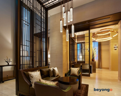 Hotel The Celestine Ginza 11