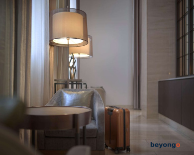 Hotel The Celestine Ginza 12
