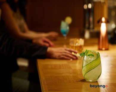 Hotel The Celestine Ginza 15