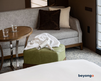 Hotel The Celestine Ginza 18
