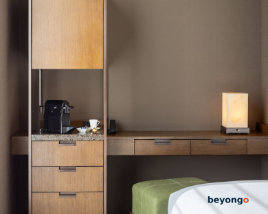Hotel The Celestine Ginza 19