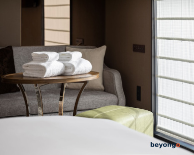Hotel The Celestine Ginza 20