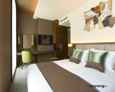 Hotel The Celestine Ginza 21