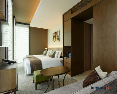 Hotel The Celestine Ginza 25