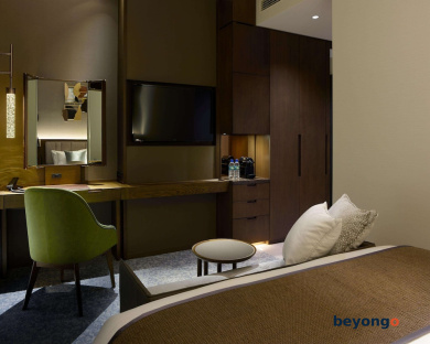 Hotel The Celestine Ginza 27