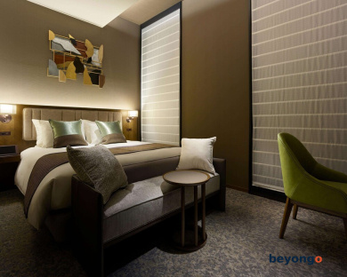Hotel The Celestine Ginza 28