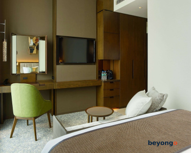 Hotel The Celestine Ginza 29