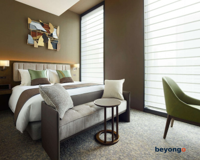 Hotel The Celestine Ginza 30