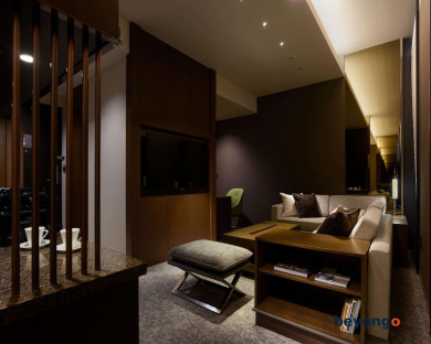 Hotel The Celestine Ginza 34