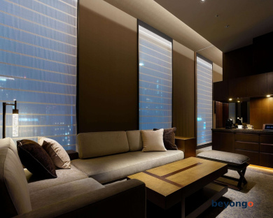 Hotel The Celestine Ginza 35