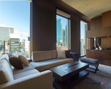 Hotel The Celestine Ginza 39