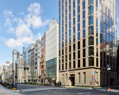 Hotel The Celestine Ginza 4